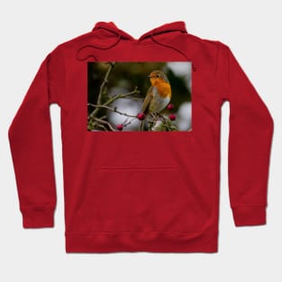 Robin Redbreast Hoodie